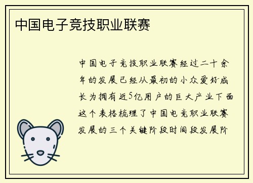 中国电子竞技职业联赛